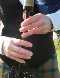 Yes, those are my hands.